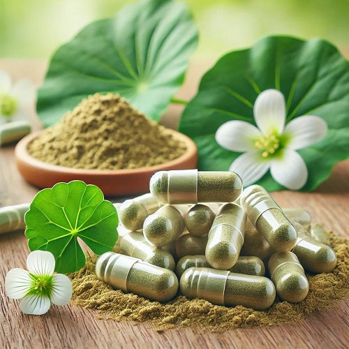 Benefits Of Centella Asiatica Capsules - Wholesale B2B Bulk Suppliers