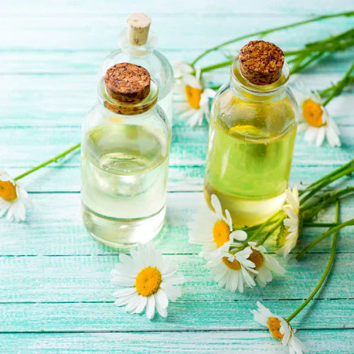 Benefits of Chamomile Essential Oil - Wholesale B2B Bulk Suppliers in USA