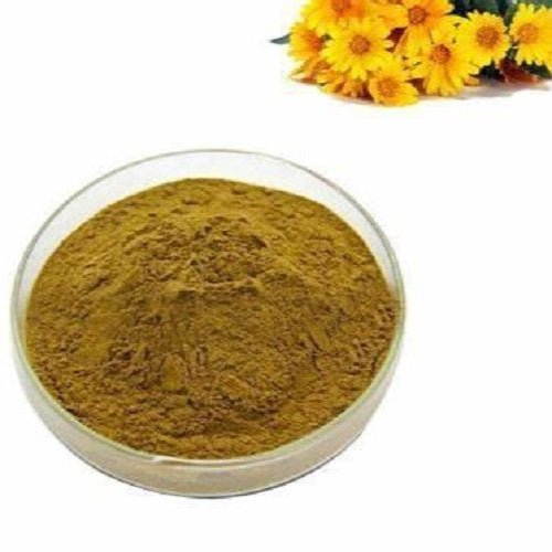 Benefits of Chrysanthemum Extract Powder - Wholesale B2B Bulk Suppliers in Europe