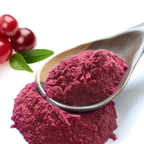 Benefits of Cranberry Juice Powder - Wholesale B2B Bulk Suppliers