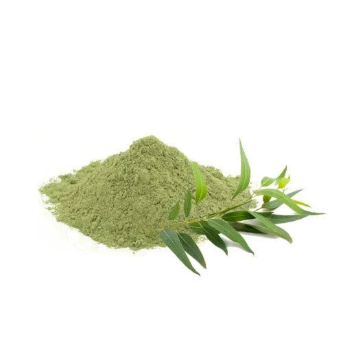 Benefits of Eucalyptus Powder - Wholesale B2B Bulk Suppliers