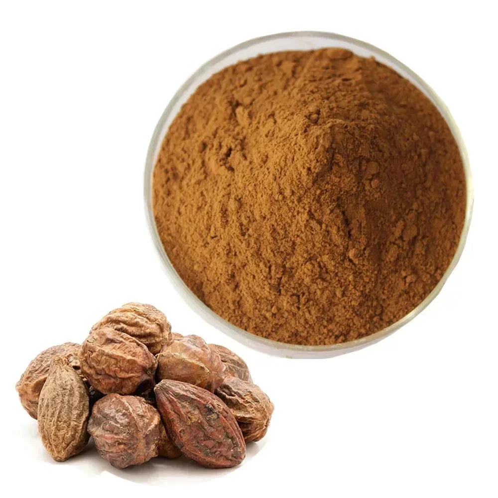 Benefits of Haritaki Powder - Wholesale B2B Bulk Suppliers in USA