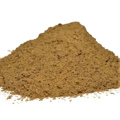 Benefits of Huperzia Serrata Extract Powder - Wholesale B2B Bulk Suppliers in Europe