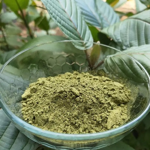 Top Online Vendors for Kratom Leaf Powder in 2025