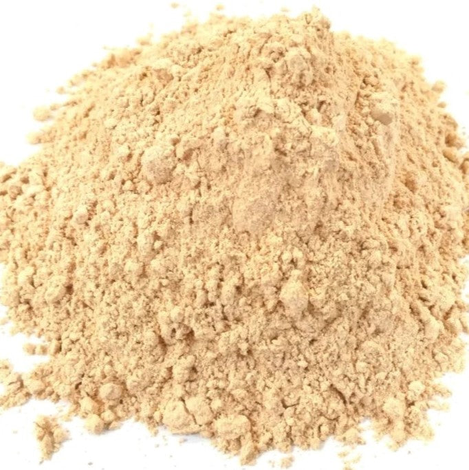 Benefits of Lion's Mane Powder - Wholesale B2B Bulk Suppliers in Europe