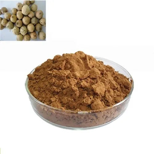 Benefits Of Majuphal Extract Powder - Wholesale B2B Bulk Suppliers