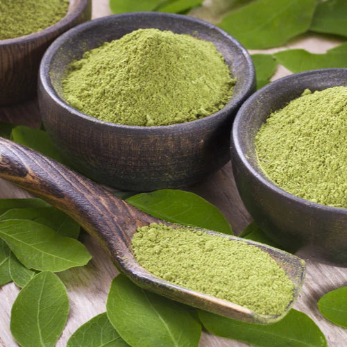 Benefits of Graviola Leaf Powder - Wholesale B2B Bulk Suppliers in USA