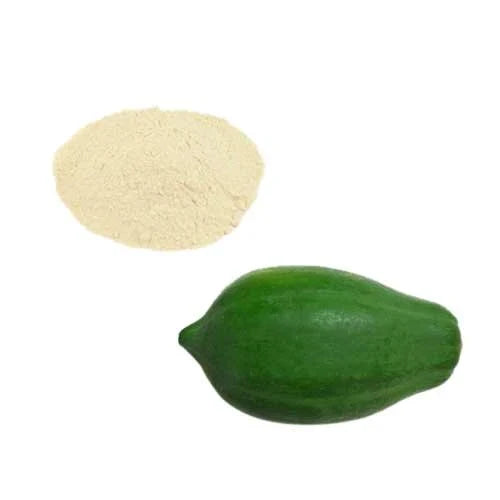 Benefits of Green Papaya Fruit Powder - Wholesale B2B Bulk Suppliers in USA