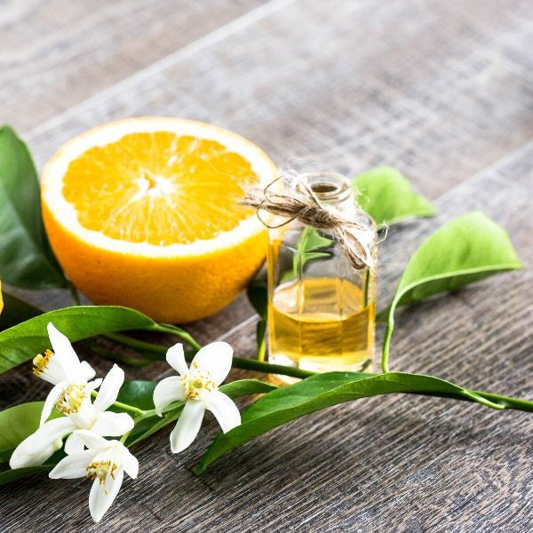 Benefits of Neroli Essential Oil - Wholesale B2B Bulk Suppliers in USA