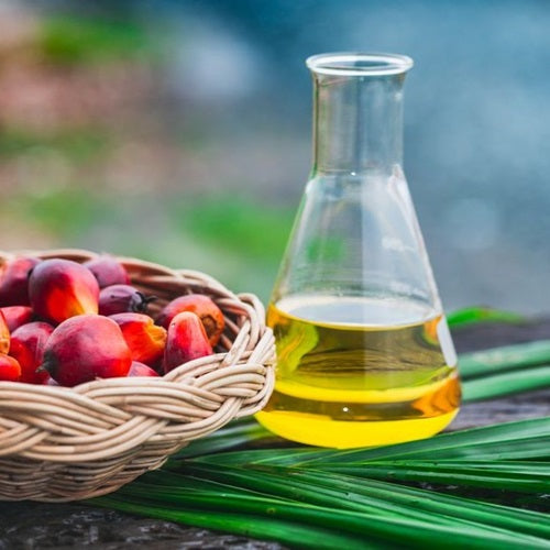 Benefits of Palm Oil - Wholesale B2B Bulk Suppliers in USA