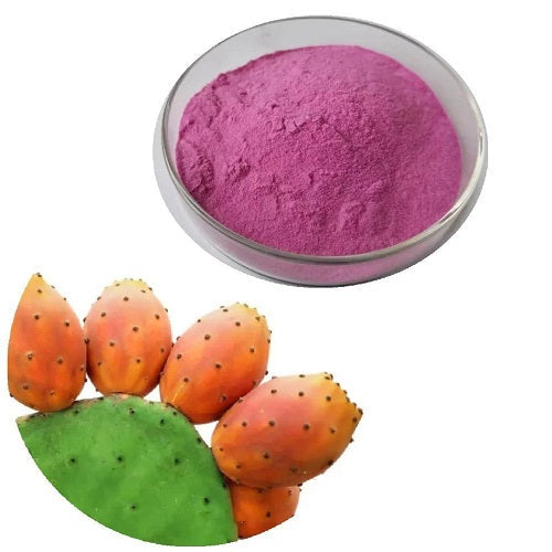 Benefits of Prickly Pear Extract Powder - Wholesale B2B Bulk Suppliers