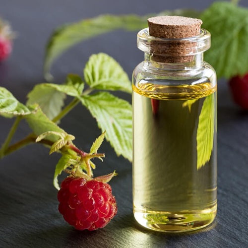 Benefits of Raspberry Seed Oil - Wholesale B2B Bulk Suppliers in USA