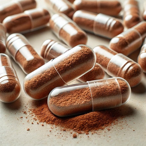 Benefits Of Reishi Ganoderma Capsules - Wholesale B2B Bulk Suppliers
