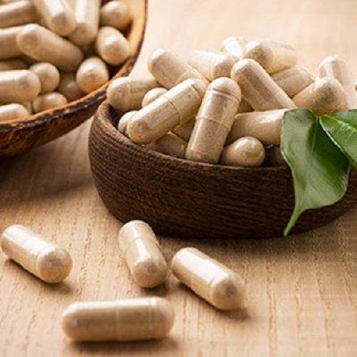 Benefits Of Royal Agaricus Capsules - Wholesale B2B Bulk Suppliers