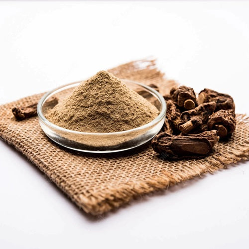 Benefits of Sarsaparilla Root Powder - Wholesale B2B Bulk Suppliers in Europe