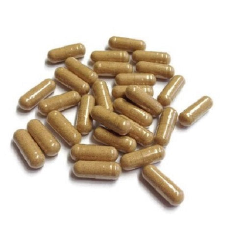 Benefits Of Sarsaparilla Capsules - Wholesale B2B Bulk Suppliers
