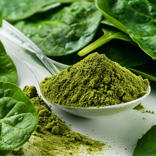 Benefits of Spinach Powder - Wholesale B2B Bulk Suppliers in Europe