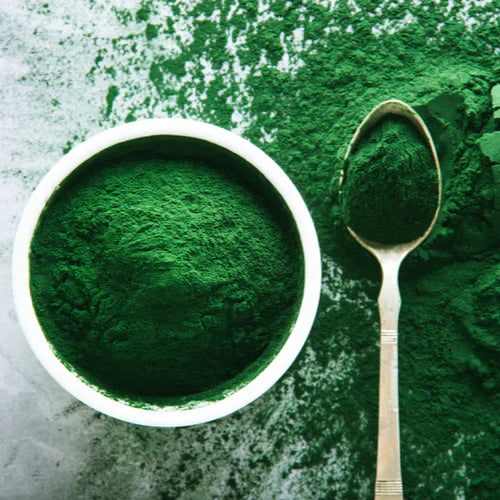 Benefits of Spirulina Powder - Wholesale B2B Bulk Suppliers in USA