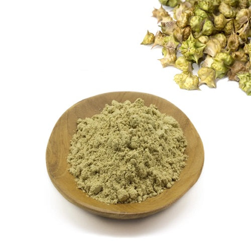 Benefits of Tribulus Powder - Wholesale B2B Bulk Suppliers in Europe