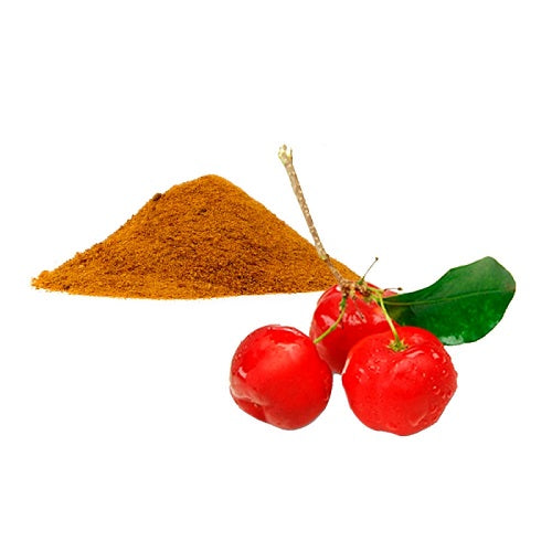 Benefits of Acerola Extract Powder - Wholesale B2B Bulk Suppliers in USA