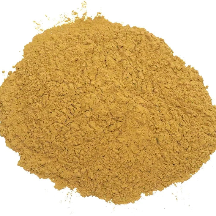 Benefits of Brahmi Powder - Wholesale B2B Bulk Suppliers in USA