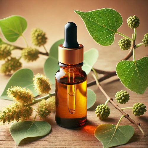 Benefits of Balm of Gilead Buds Essential Oil - Wholesale B2B Bulk Suppliers