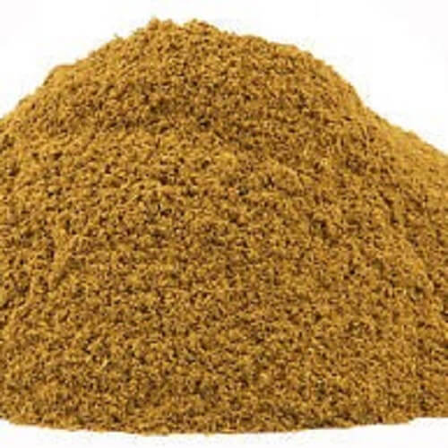 Benefits of Barberry Bark Extract Powder - Wholesale B2B Bulk Suppliers in USA