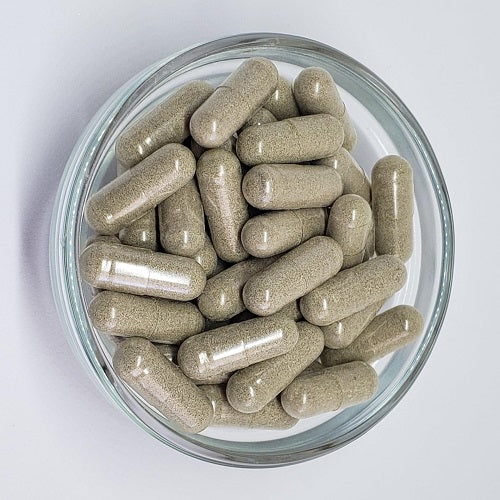 Benefits Of Blue Vervain Capsules - Wholesale B2B Bulk Suppliers