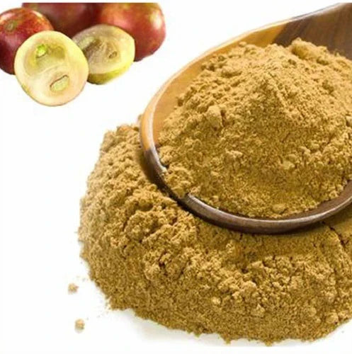 Benefits of Camu-Camu Extract Powder - Wholesale B2B Bulk Suppliers in Europe