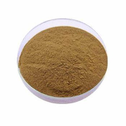Benefits of Chanca Piedra Extract Powder - Wholesale B2B Bulk Suppliers in USA