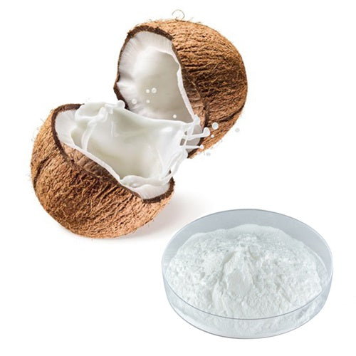 Benefits of Coconut Fruit Extract Powder - Wholesale B2B Bulk Suppliers in Europe