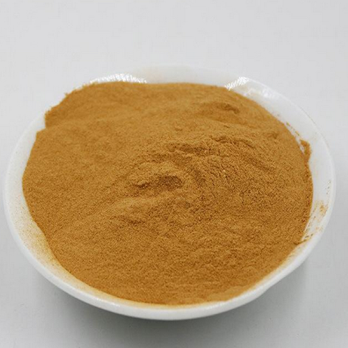 Benefits of Devil's Claw Extract Powder - Wholesale B2B Bulk Suppliers in USA