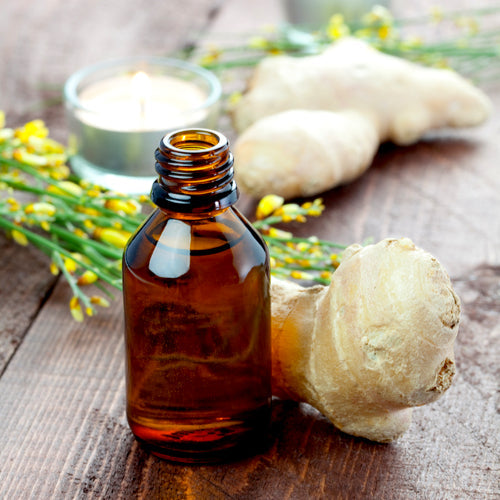 Benefits of Ginger Essential Oil - Wholesale B2B Bulk Suppliers in USA