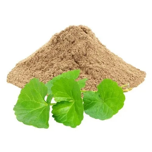 Benefits of Gotu kola Powder - Wholesale B2B Bulk Suppliers in Europe