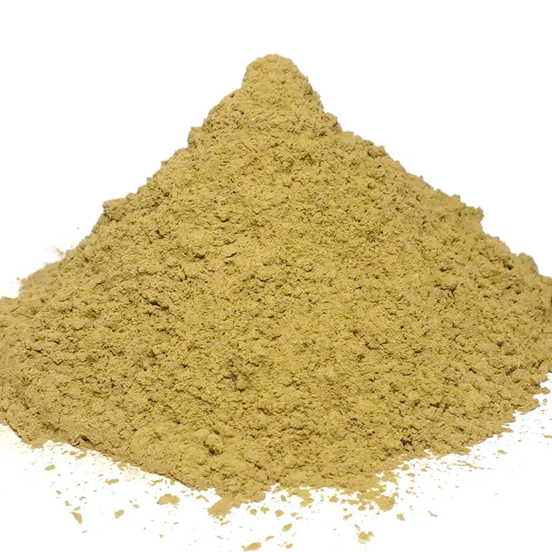 Benefits of  Gotu Kola Powder - Wholesale B2B Bulk Suppliers