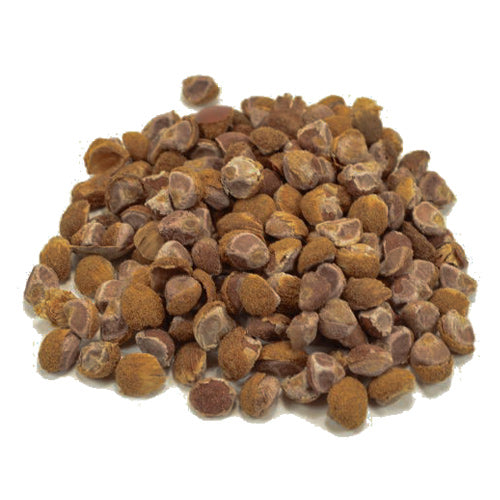 Where to Buy HBWR Hawaiian Baby WoodRose Seeds (Argyreia Nervosa) in the USA