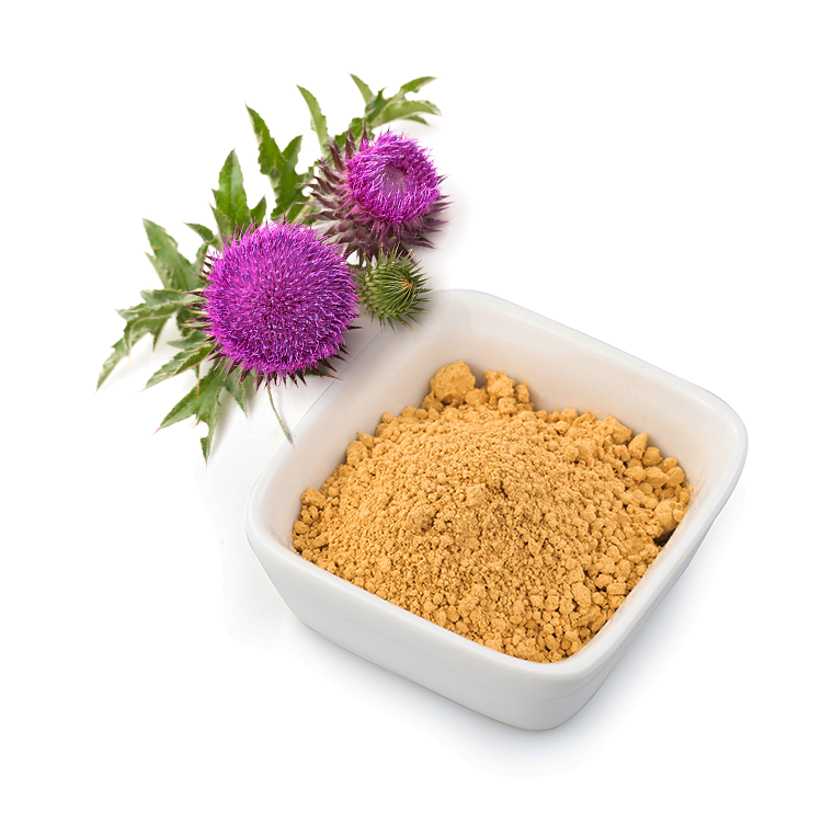 Benefits of Milk Thistle Seeds Powder - Wholesale B2B Bulk Suppliers in USA