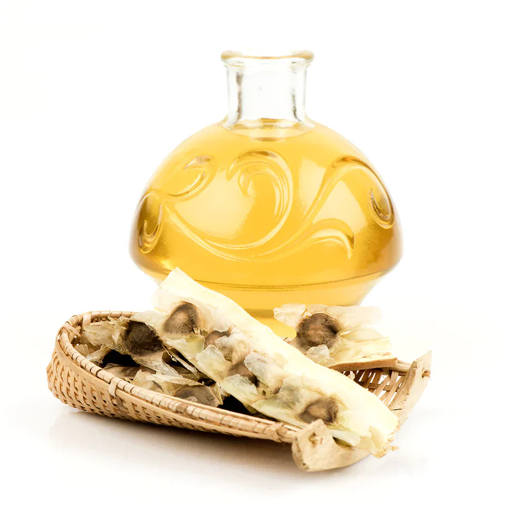 Benefits of Moringa Seed Oil - Wholesale B2B Bulk Suppliers in USA