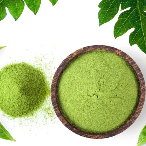 Benefits of Papaya Leaf Powder - Wholesale B2B Bulk Suppliers in Europe