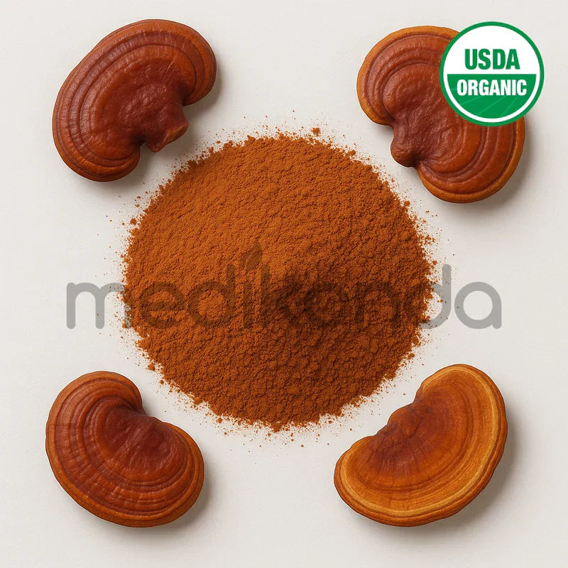 Benefits of Reishi Mushroom Powder - Wholesale B2B Bulk Suppliers