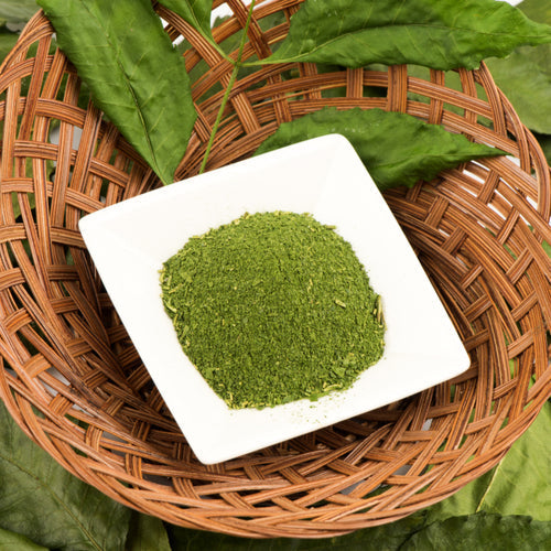 Benefits of Senna Leaf Powder - Wholesale B2B Bulk Suppliers in Europe