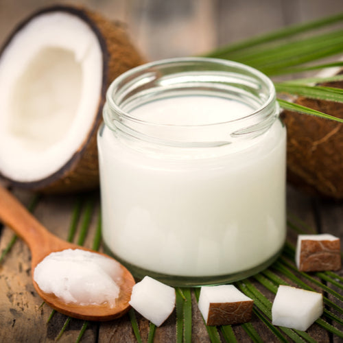 Benefits of Virgin Coconut Oil - Wholesale B2B Bulk Suppliers in USA