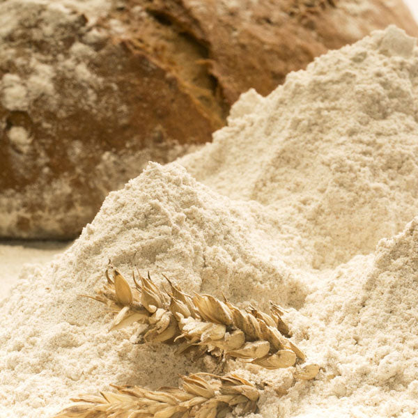Benefits of Rye Flour - Wholesale B2B Bulk Suppliers