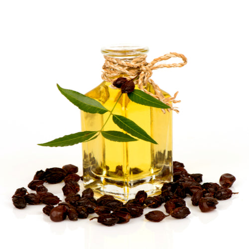 Benefits of Neem Oil - Wholesale B2B Bulk Suppliers in USA