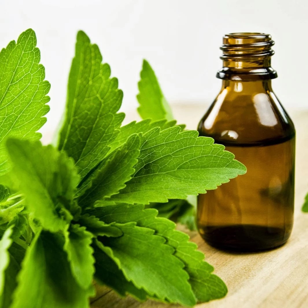 Benefits of Stevia Leaf Extract oil - Wholesale B2B Bulk Suppliers