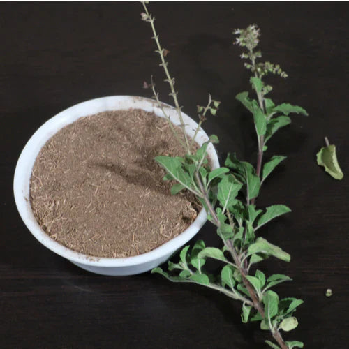 Benefits of Holy Basil Powder - Wholesale B2B Bulk Suppliers
