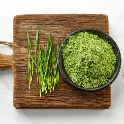 Benefits of Wheatgrass Powder - Wholesale B2B Bulk Suppliers in Europe