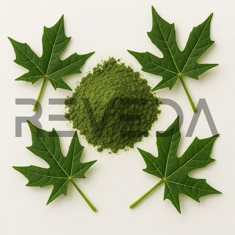 Chaya Powder