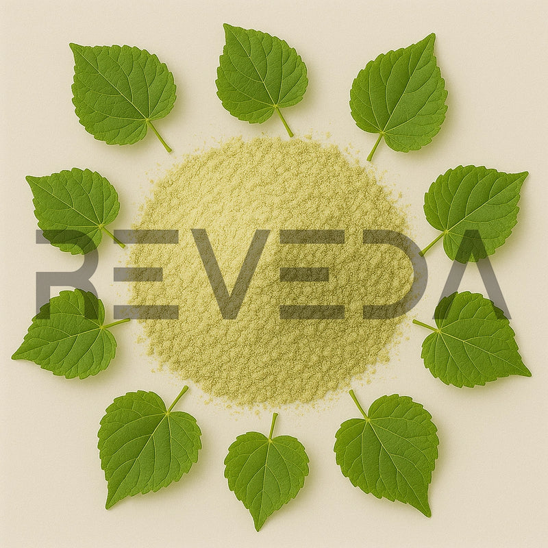 Abuta Grandifolia Extract Powder