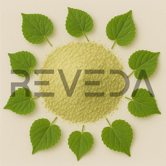 Abuta Grandifolia Extract Powder